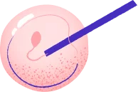 Program poděkování hero-image