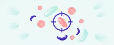 ALICE (Analiza endometritei cronice infecțioase) hero-image