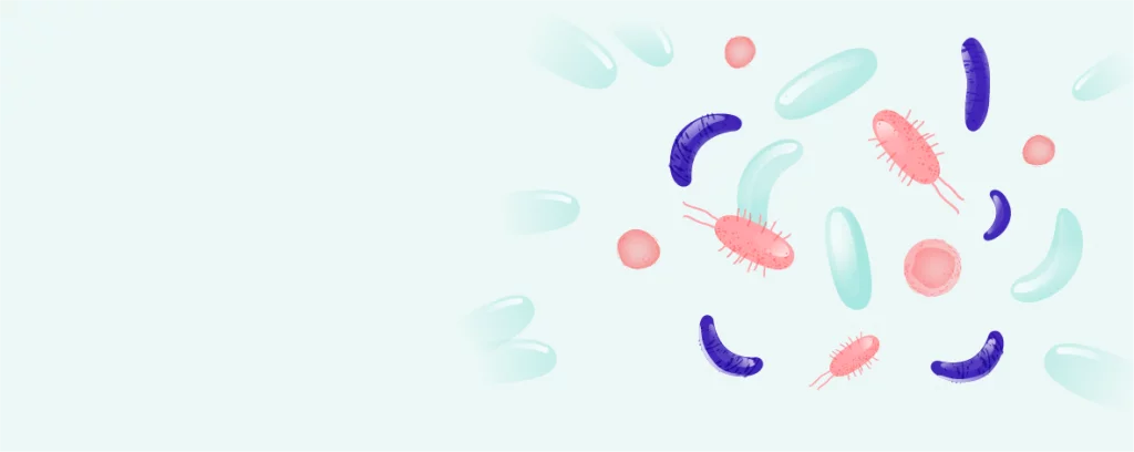 Reprodukční imunologie bez čekání hero-image