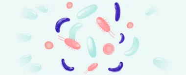 Reprodukční imunologie bez čekání hero-image