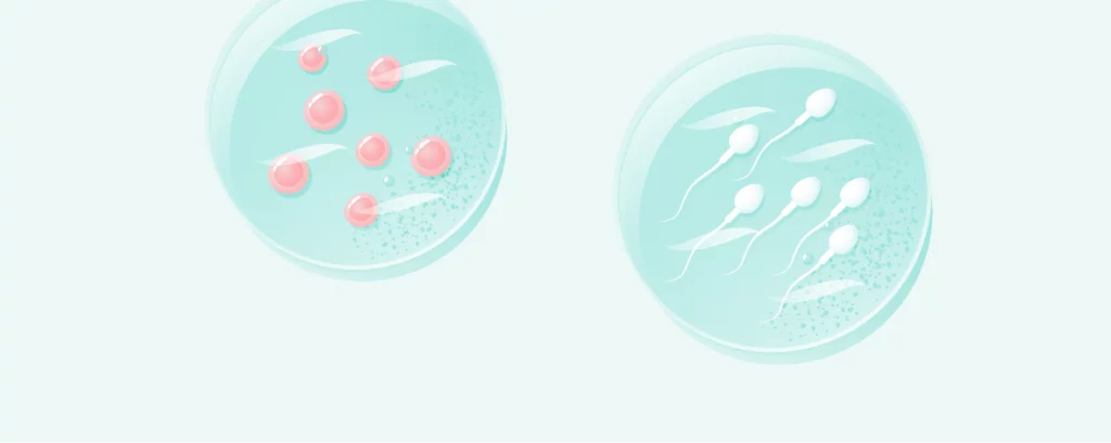 Vyšetření mužské neplodnosti HERO IMAGE