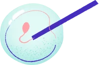 Vyšetření mužské neplodnosti HERO IMAGE